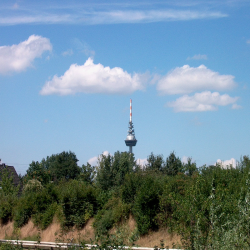 Manheim  Picture 087.jpg